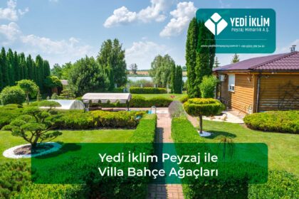 villa bahçe ağaçları