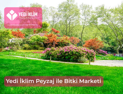 bitki-marketi