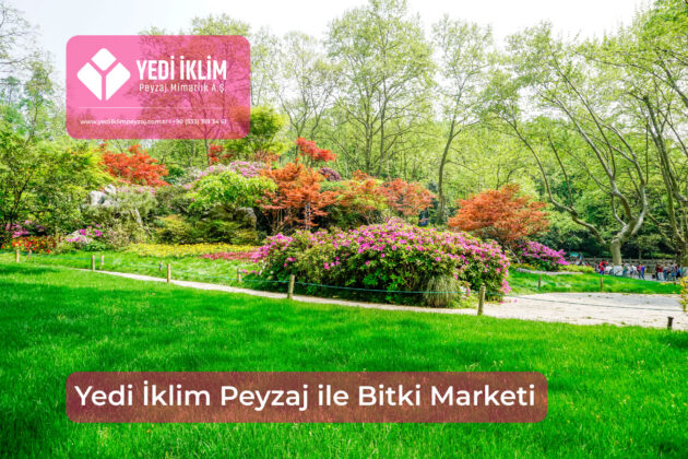 bitki-marketi