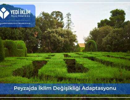 peyzajda-iklim-degisikligi-adaptasyonu