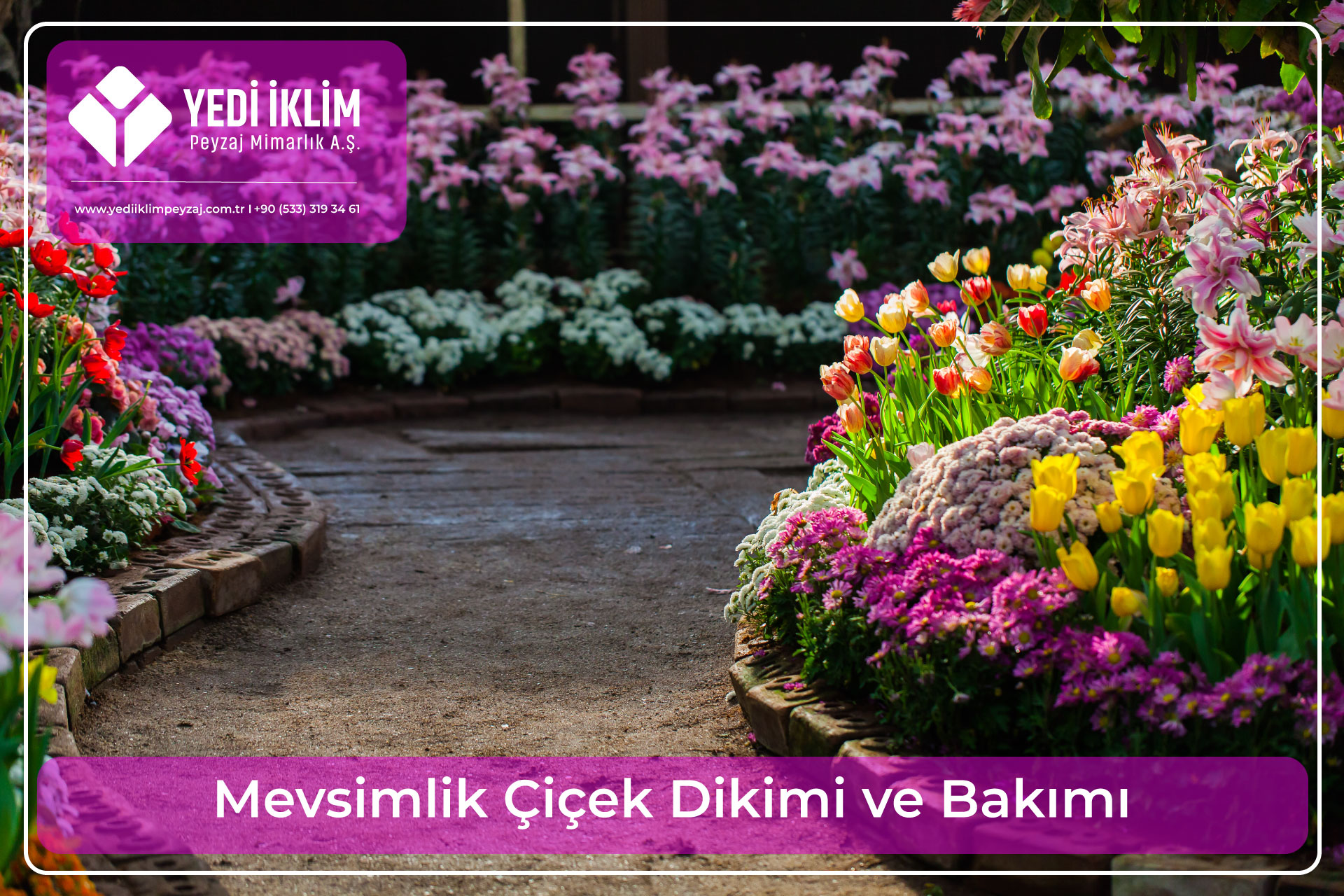 mevsimlik-cicek-dikimi-ve-bakimi